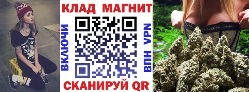 Какие есть наркотики Шадринск Гашиш  Псилоцибиновые грибы  Мефедрон  Бошки Шишки  Alpha PVP 
