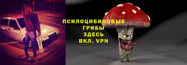 дурь Богородицк
