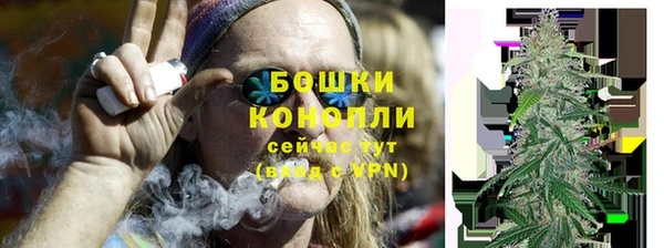 дурь Богородицк
