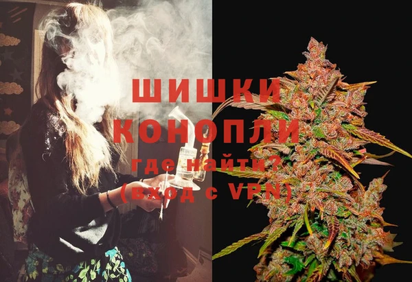 дурь Богородицк