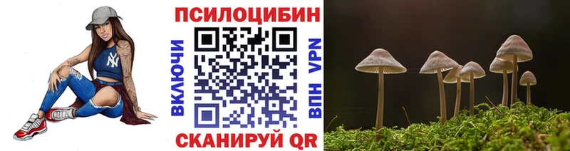 Псилоцибиновые грибы прущие грибы  магазин  наркотиков  Шадринск 